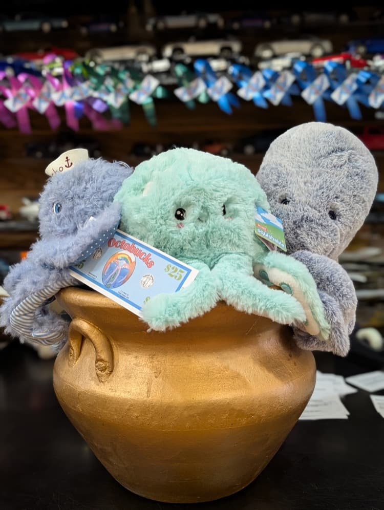 Outlandish Octopuses